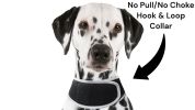 Cell Phone Pet Tracker Waterproof Movement Activated GPS Dog Locator Size:S