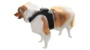 Cell Phone Pet Tracker Waterproof Movement Activated GPS Dog Locator Size:S