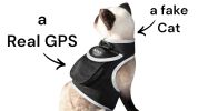 HOT! GPS Mini Waterproof Pet Locator Portable Dog Cat Tracking Device Size:M