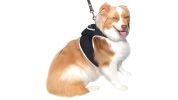 HOT! GPS Mini Waterproof Pet Locator Portable Dog Cat Tracking Device Size:M